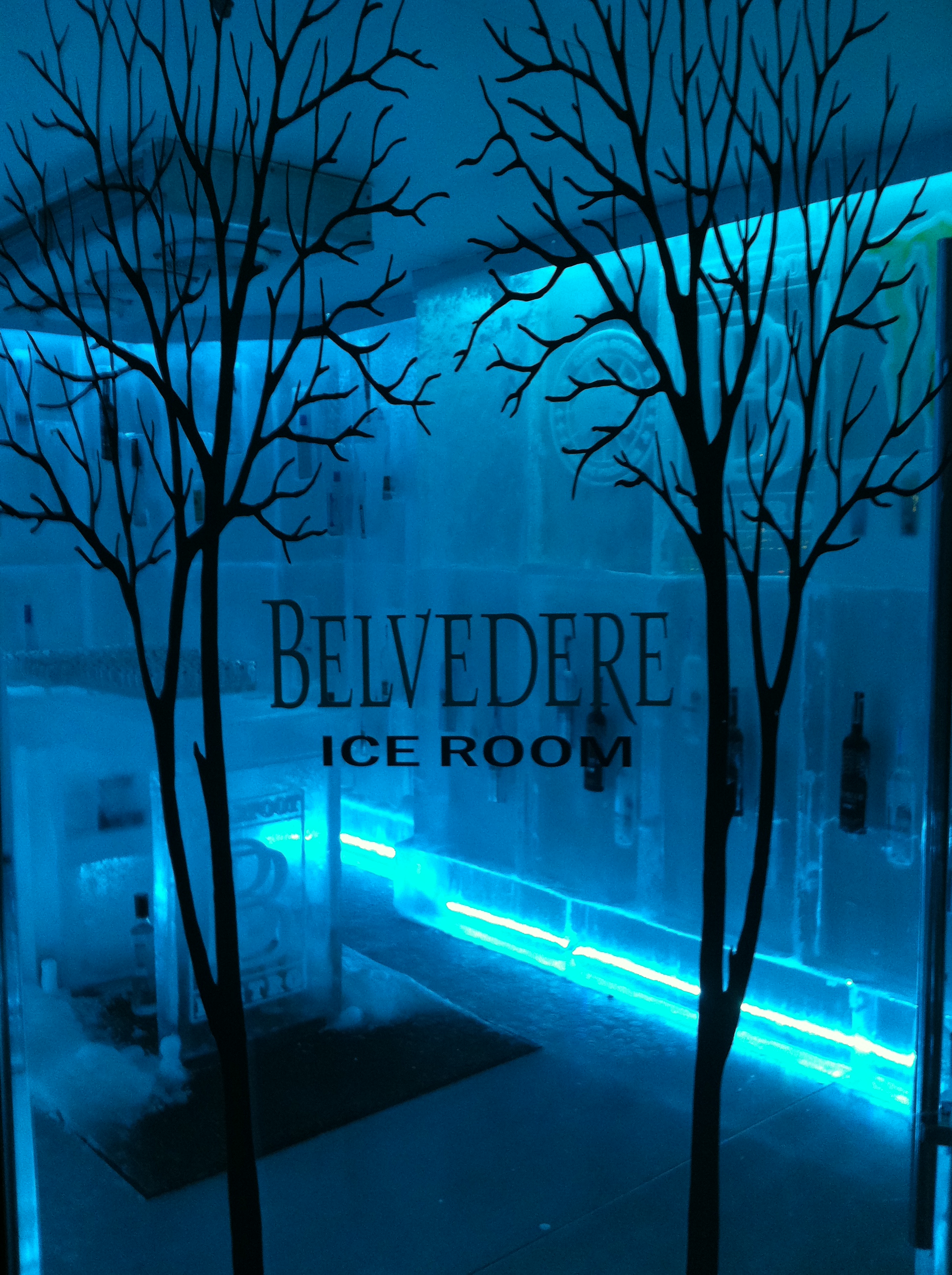 Belvedere Ice Room Whistler